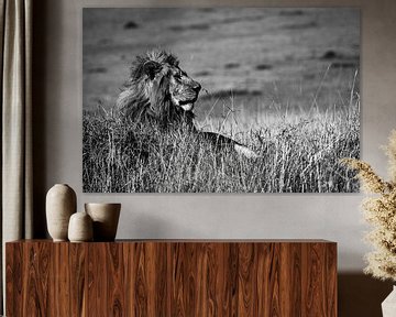 King Lion by Marcel Henderik