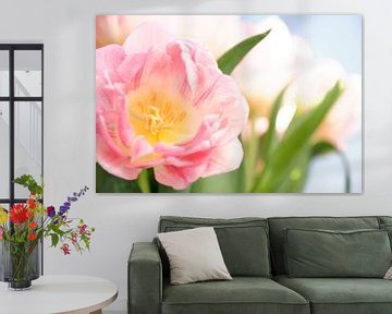 Nahaufnahme einer rosa Tulpe im Tulpenfeld von Melissa Peltenburg