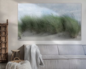 1182 Swaying dune grass van Adrien Hendrickx