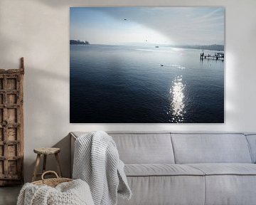 Zürichsee 1 von Huib van Wees