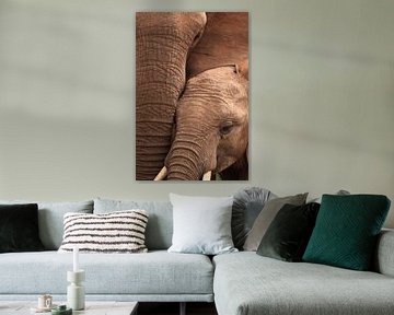 Close up van afrikaanse olifant moeder en kalf van Bobsphotography
