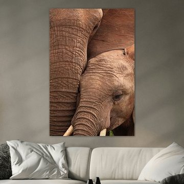 Nahaufnahme von Mutter und Kalb eines afrikanischen Elefanten