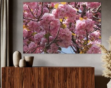 Blossom
