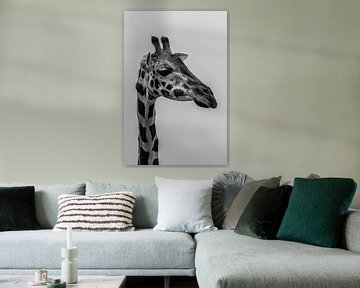 Portrait of giraffe by Adri Vollenhouw