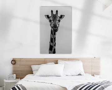Schwarz-Weiß-Porträt einer Giraffe von Adri Vollenhouw