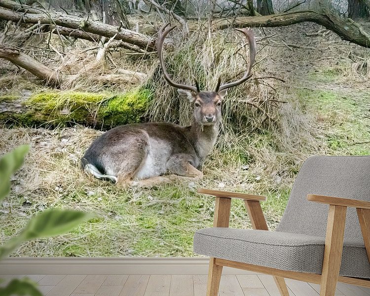 Raumvorschau