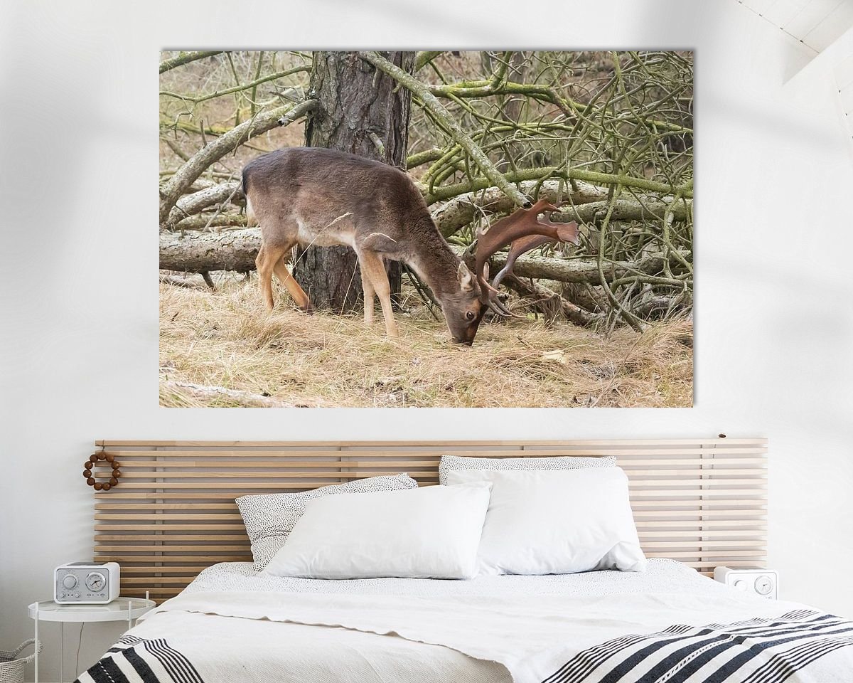 Raumvorschau