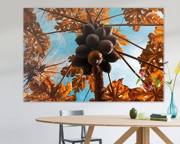 Infrarot-Foto von Papayas im Baum