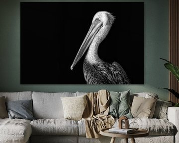Schwarz-Weiß-Foto von Pelikan vor schwarzem Hintergrund. Wout Cook One2expose von Wout Kok