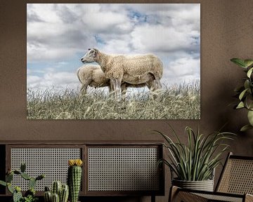 Sheep against a typical Dutch cloud sky. Wout Cook One2expose by Wout Kok