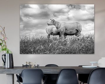 Sheep against a typical Dutch cloud sky. Picture is taken in Friesland. Wout Kok One2expose by Wout Kok