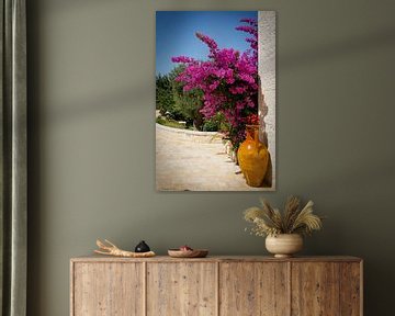 Bougainvillea in Italien von Sara in t Veld Fotografie