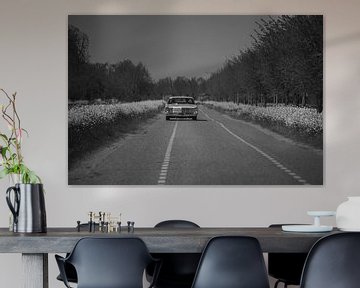 Dutch village 2020, car on the road.