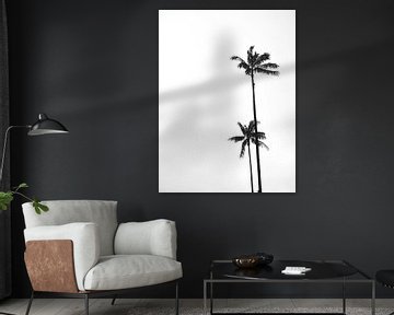 Palmbomen zwart wit