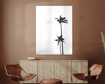 Palmbomen zwart wit