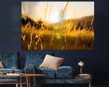 Zomer van Studio Aspects