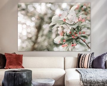 Branch with white and pink blossom