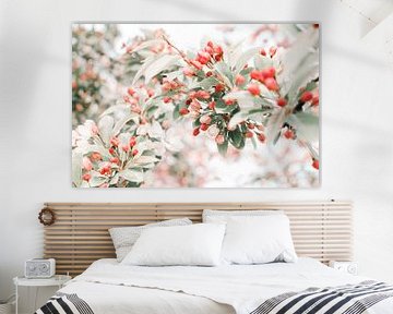 Branch with red and pink blossom