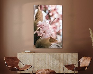 Branch with pink blossom and leaves