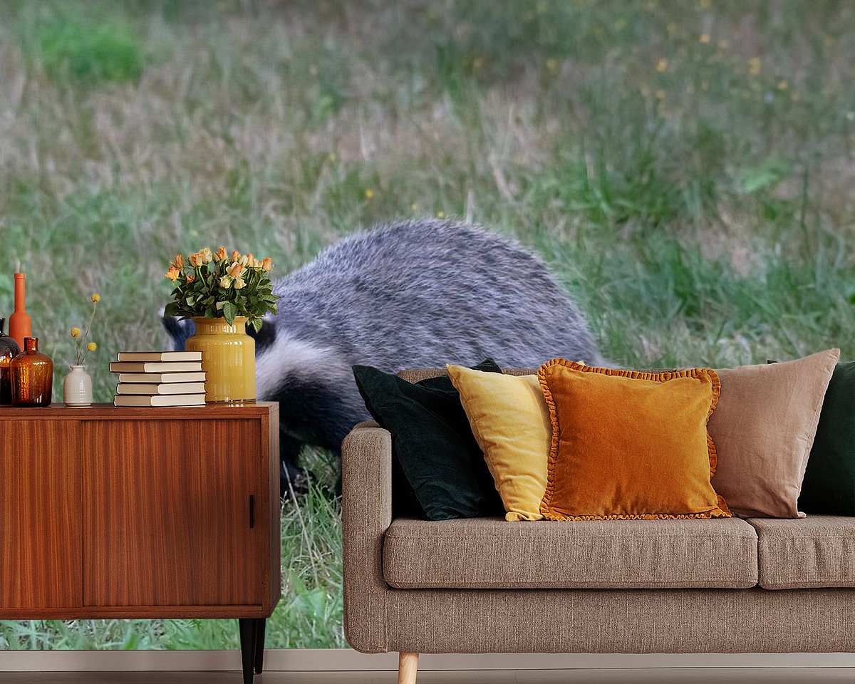Raumvorschau
