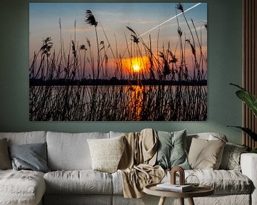 Zonsondergang achter het riet van Foto Dani