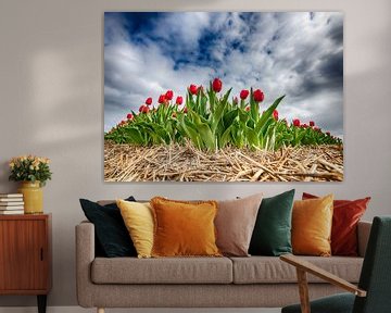 Red Tulips 2020 G by Alex Hiemstra