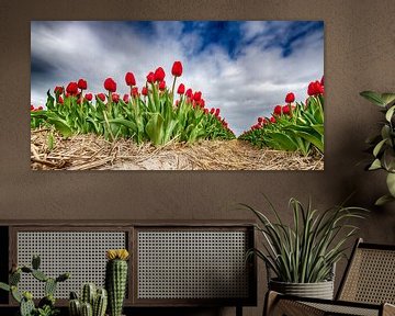 Red Tulips 2020 F by Alex Hiemstra