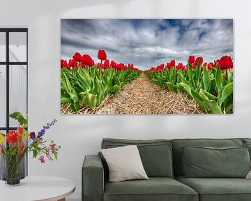 Red Tulips 2020 D by Alex Hiemstra