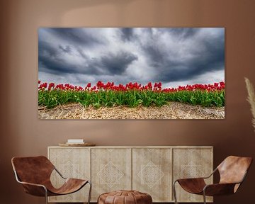 Rote Tulpen 2020 B von Alex Hiemstra