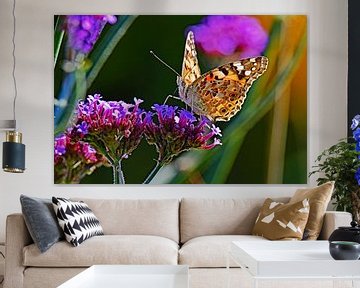 Thistle Butterfly on Verbena by Tjamme Vis