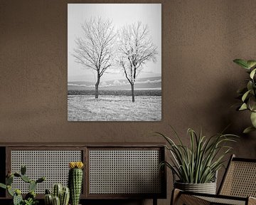 Winter-Ernte 2 von Keith Wilson Photography