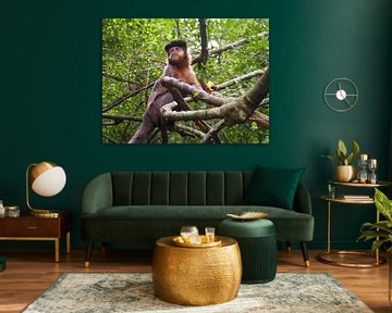 Aapje in Monkey Sanctury by Sanne Bakker