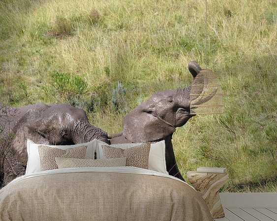 Aperçu de la chambre