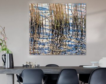 Schilf und Wasser, Spiegelung in der goldenen Abendsonne