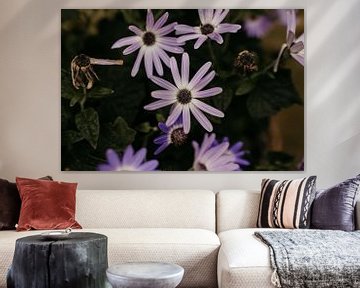 Petite fleur violette de jardin sur Carla van Dulmen