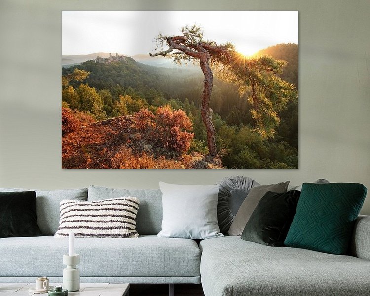 Aperçu de la chambre