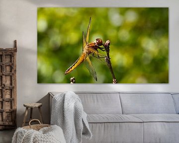 Libel von Henk Kroesen