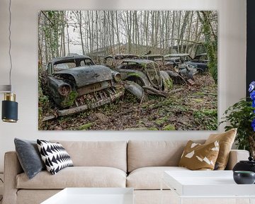Abandoned vintage cars by Lien Hilke
