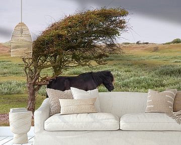 Schutz von Hannie Kassenaar