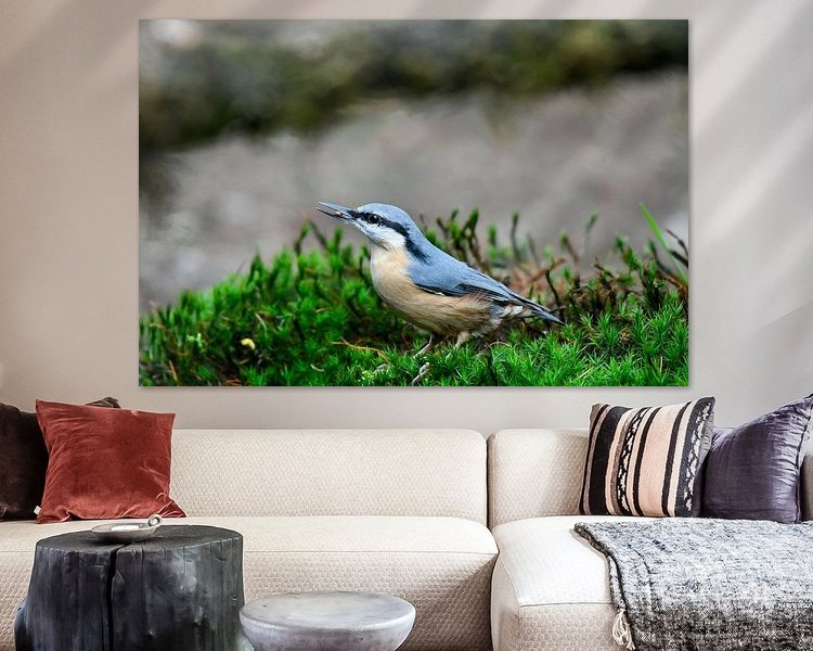 Aperçu de la chambre