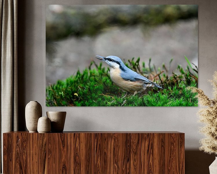 Aperçu de la chambre