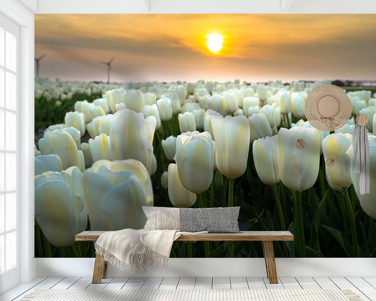Raumvorschau