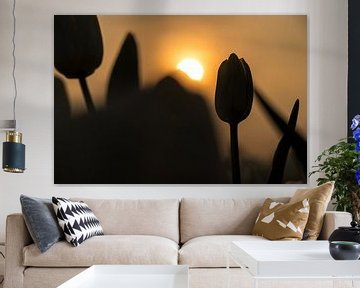 Silhouette of a tulip by Fotografiecor .nl