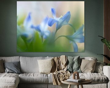 Zachte blauwe wilde bloemen van Carine Belzon
