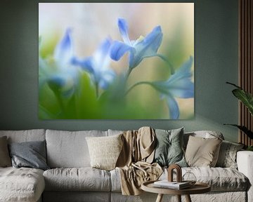 Zachte blauwe wilde bloemen