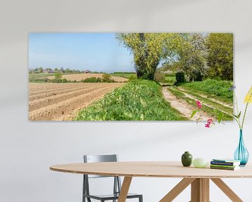 Aardappelvelden in Zuid-Limburg van John Kreukniet