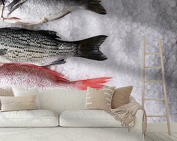 Fresh fish on ice 11010184