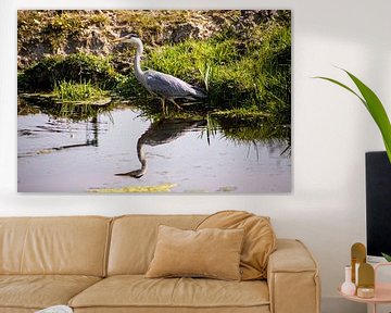 Blauwe Reiger op de wacht van Eric de Jong