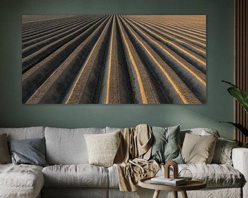Aardappelveld patroon met aardappelruggen tijdens zonsondergang van Sjoerd van der Wal Fotografie