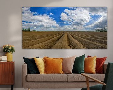 Freshly plowed potato field with straight line pattern and diminishing perspective in Flevoland duri by Sjoerd van der Wal Photography